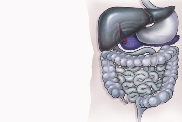 Gastroenterology